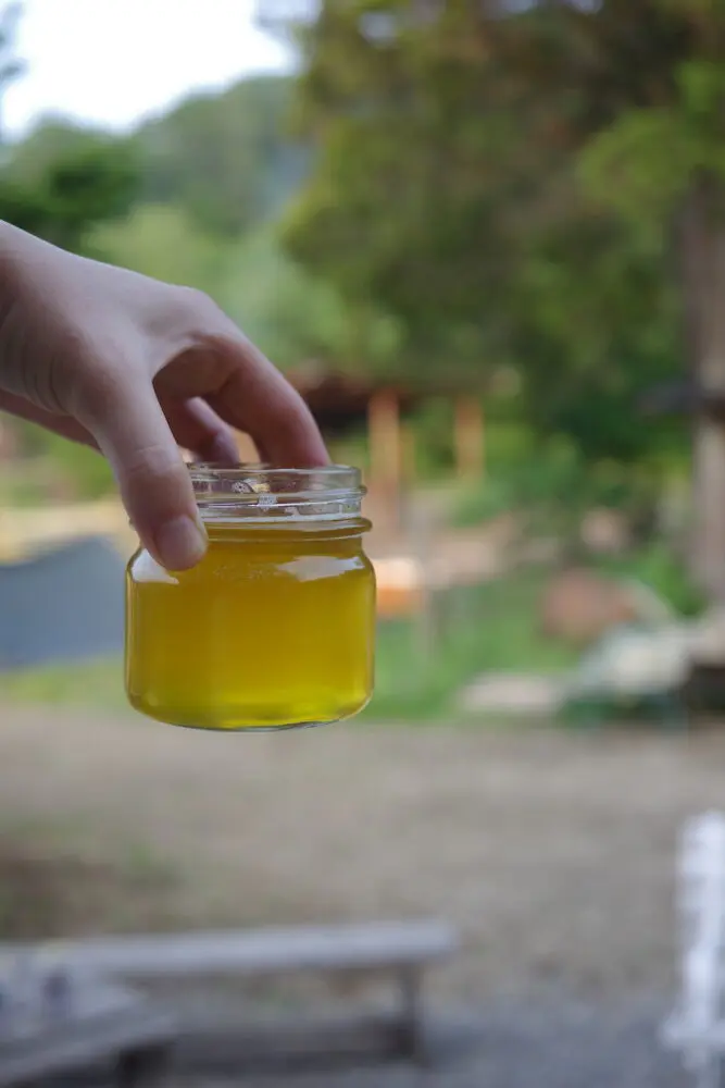 しっとり潤すアーユルヴェーダの基本オイル｜ギーの作り方と使い方