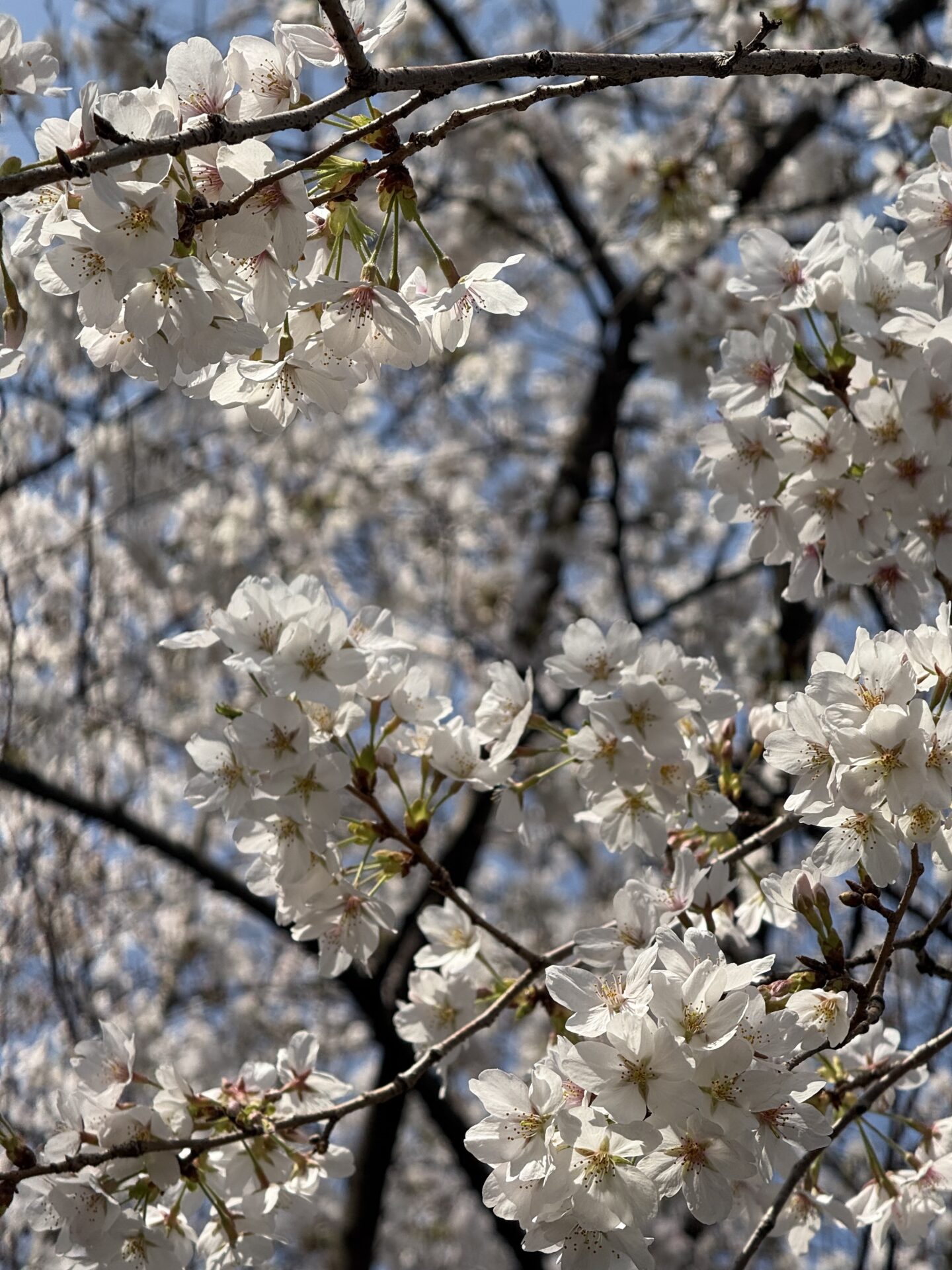 アーユルヴェーダ式の運動法｜体質・季節別に最適な運動のポイント