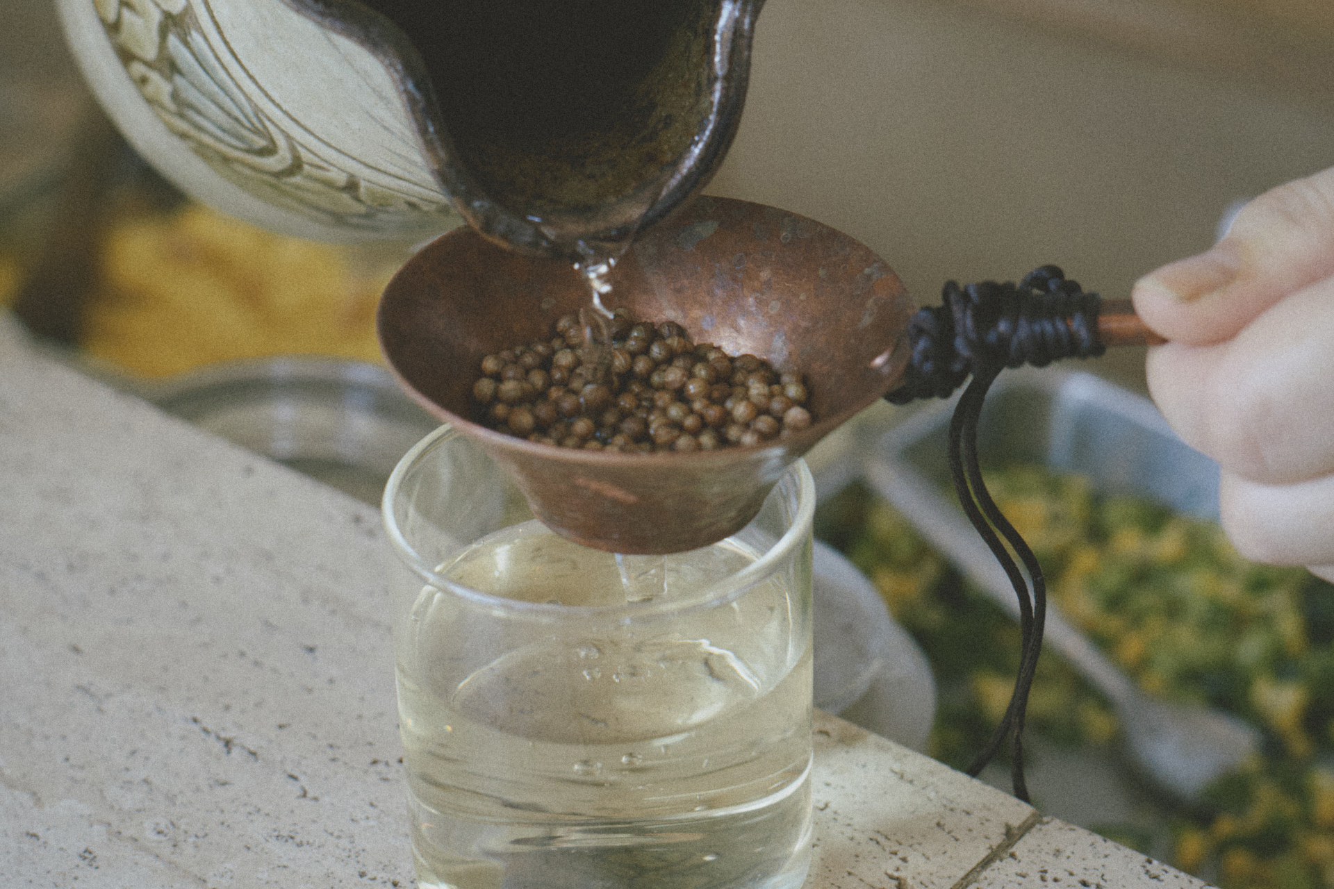 秋冬コース（12月）